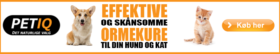 automat Hick Desperat Ormekur til kat - Danmarks bedste ormekur til kat finder du her